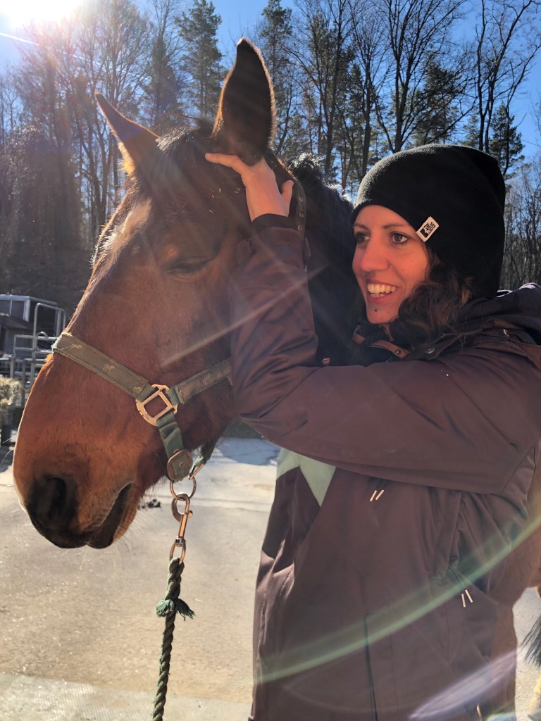 Osteopathie Trauma-Arbeit Pferd